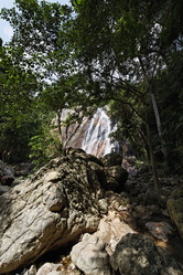 Similar image 1556511