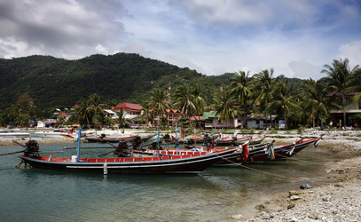 Similar image 1556523