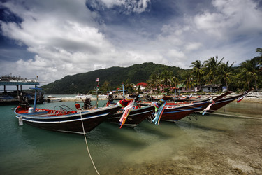 Similar image 1556528