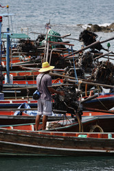 Similar image 1556534