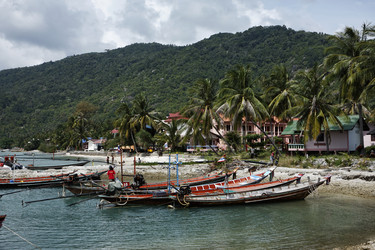 Similar image 1556544