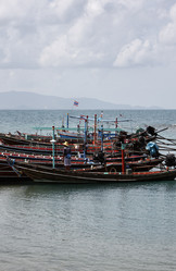 Similar image 1556545