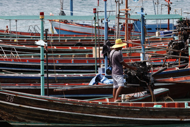 Similar image 1556547