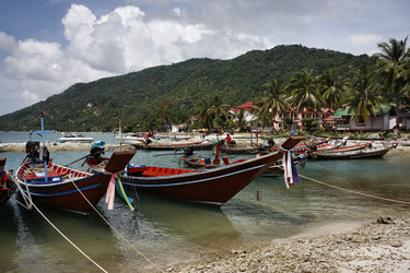 Similar image 1556554