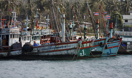 Similar image 1556576