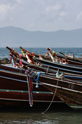 Similar image 1556595