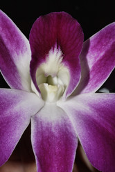 Similar image 1556599