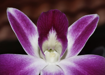 Similar image 1556602