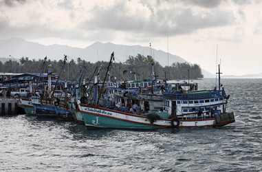 Similar image 1556606