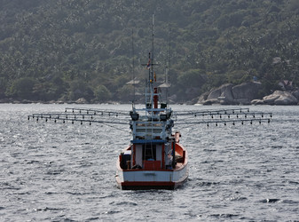 Similar image 1556628