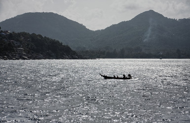 Similar image 1556630