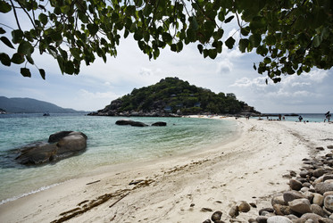 Similar image 1556640