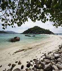 Similar image 1556642