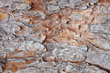 Similar image 1556682