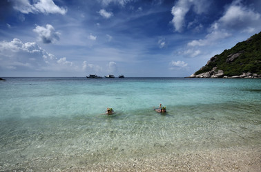 Similar image 1556695