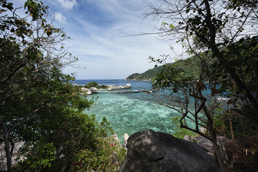 Similar image 1556712