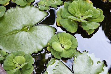 Similar image 1556741