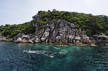 Similar image 1556746