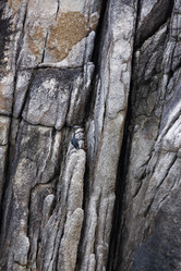 Similar image 1556765