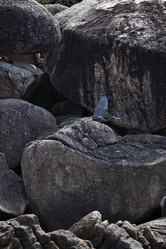 Similar image 1556768