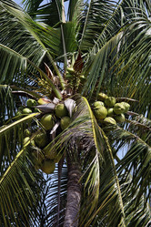 Similar image 1556773