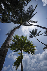 Similar image 1556785