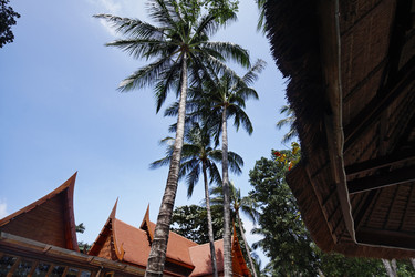 Similar image 1556789