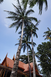 Similar image 1556790