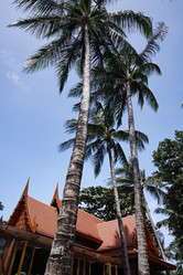 Similar image 1556792