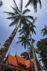 Similar image 1556793