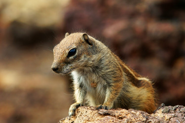 Similar image 1556804