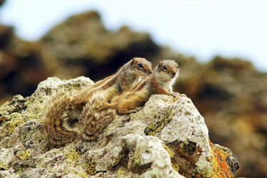 Similar image 1556805