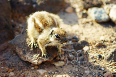 Similar image 1556806