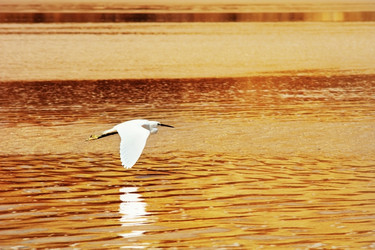 Similar image 1556807