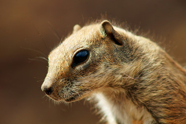 Similar image 1556809