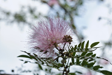 Similar image 1556827