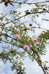 Similar image 1556830