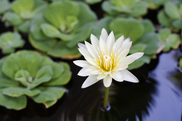 Similar image 1556845