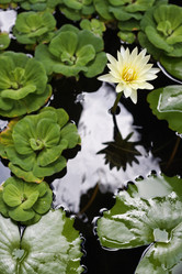 Similar image 1556849