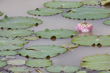 Similar image 1556853