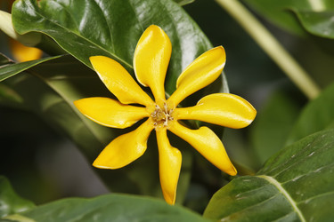 Similar image 1556859