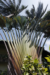 Similar image 1556863