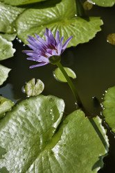 Similar image 1556882