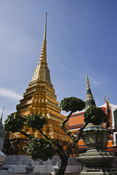 Similar image 1556899