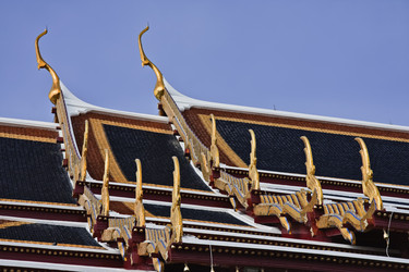 Similar image 1556988