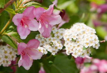 Similar image 1557004