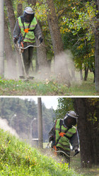 Similar image 1557009