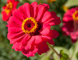 Similar image 1557014