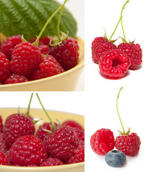 Similar image 1557017