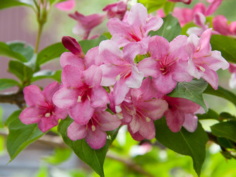 Similar image 1557039